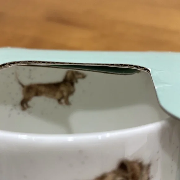 NWT.  Royal Worcester, mug and coaster set. - Picture 3 of 9